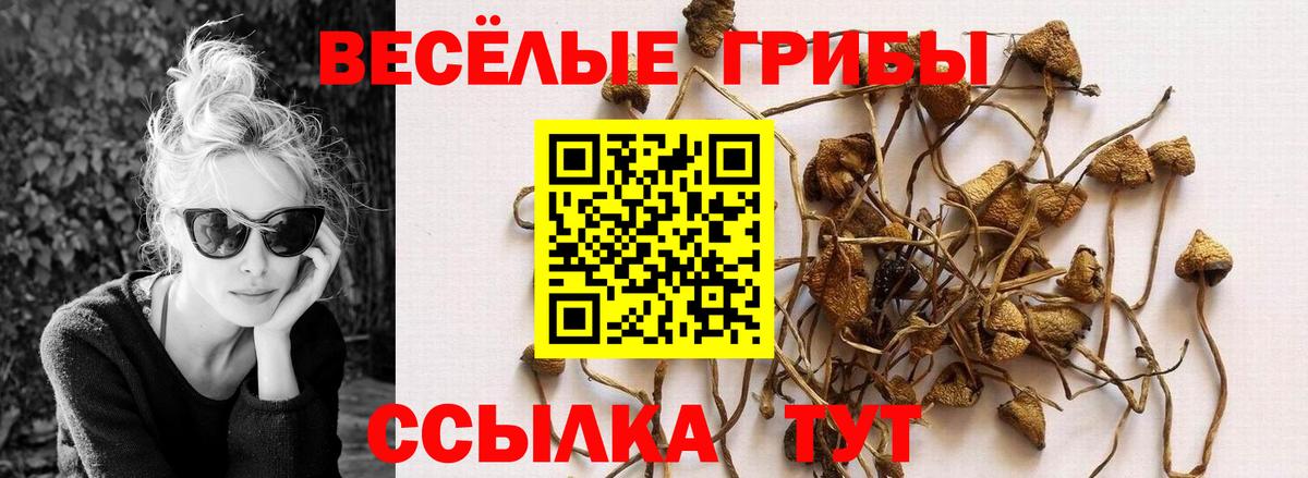 Галлюциногенные грибы ЛСД Кулебаки