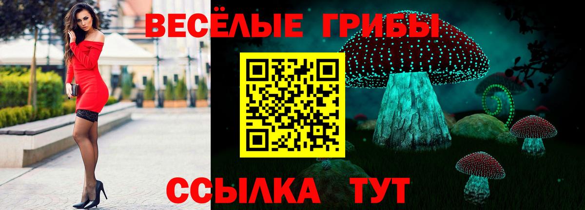 Кулебаки  Галлюциногенные грибы прущие грибы  Вход с VPN 